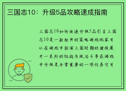 三国志10：升级5品攻略速成指南